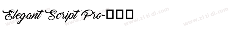 Elegant Script Pro字体转换